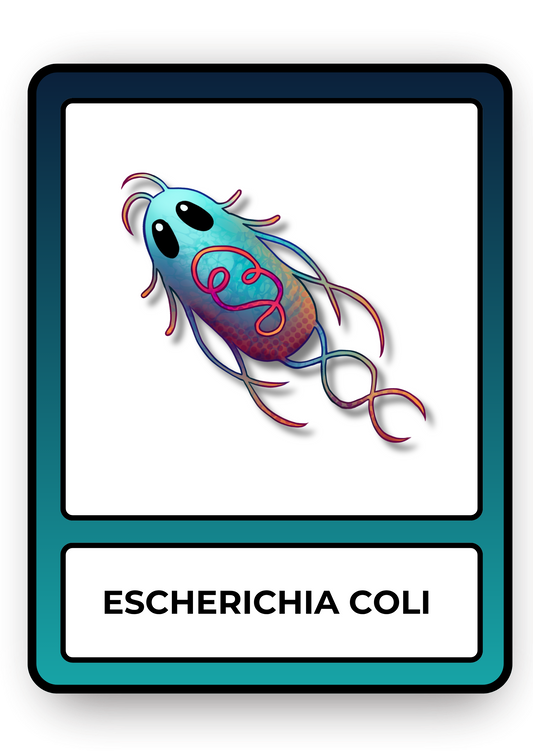 Escherichia coli